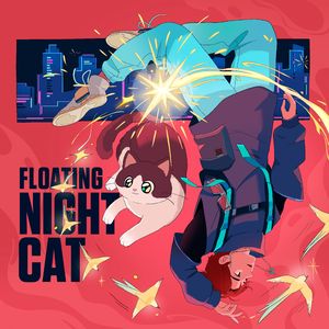 飘浮在夜里的猫