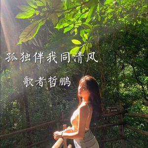 孤独伴我同清风