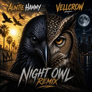 Night Owl (feat. VELLCROW) (VELLCROW REMIX)