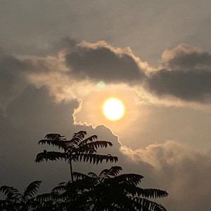 朋友圈（片段）