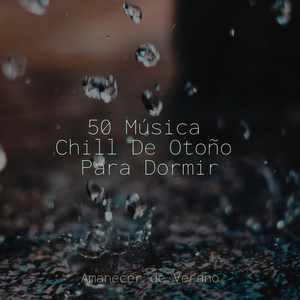 Colapso Trascendental