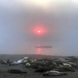 傷口癒合為什麼還會流血？