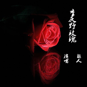 重庆野玫瑰（Cover 王晰）