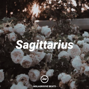 射手座｜Steve Lacy x R&B Type Beat "Sagittarius"