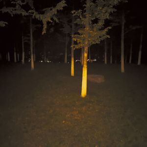 那些不喜欢爱乐之城结局的人怎么办