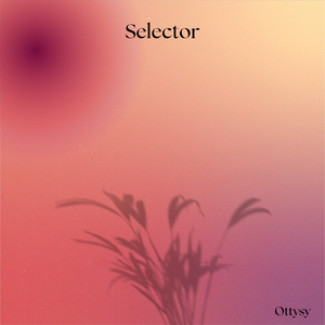 Selector