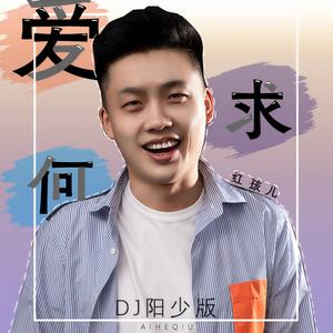 爱何求 (DJ阳少版)