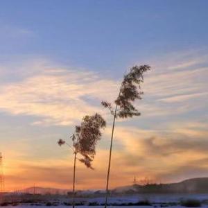 放下所有的防备