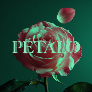 Pétalo