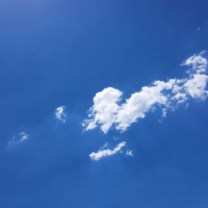 我的影子很懂事