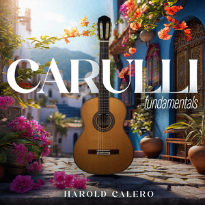 Rondo con Modulazioni