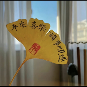 万物不及你-郝文杰.WAV