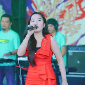 Suci (Cover)