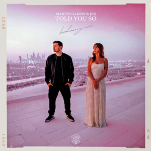 Martin Garrix-Told You So (HUALANG Remix)