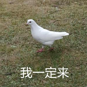 湮灭