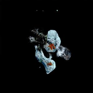 An dieser Erfahrung auch zu wachsen