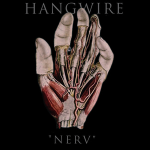 Nerv