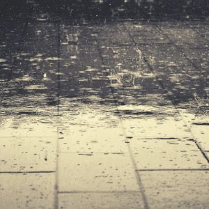 一尘不染放卷印象数