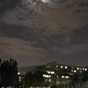 钢琴·左边的小路