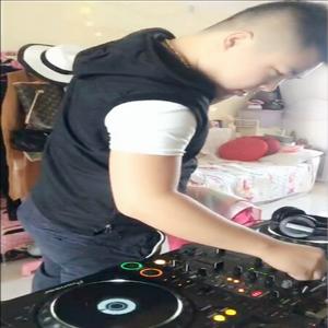 沈阳DJ小博 - 改 Ppap-Shake_That_Ass_Daddy(沈阳DJ小博)