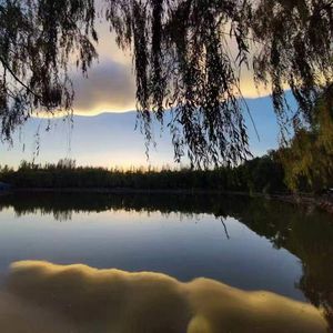 总在四下无人的夜里想起你