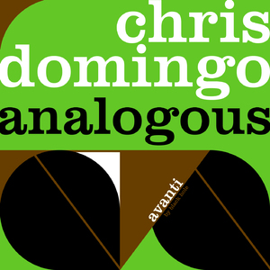 Analogous (Raoul Medina Remix)