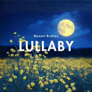 疲れを癒す白い砂浜 (川)