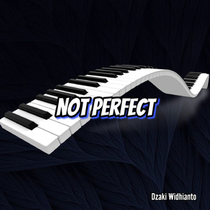 Not Perfect