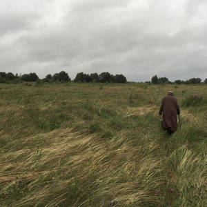 Доброе Утро Страна