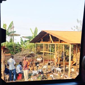 ProjectAkina - 1/23/26, 11.08 AM