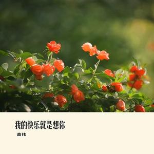 山谷里的思念 (Cover 谢军)