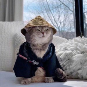 关山酒（温情版）