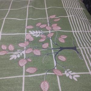 সন্ধ্যা রাতের তারা (Sondha Rater Tara)