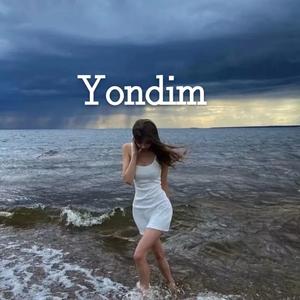 Yondim-原创
