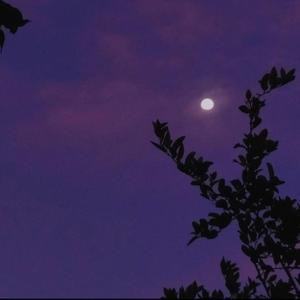 Zaczynam się cieszyć