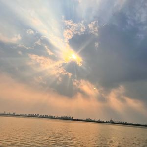 小张