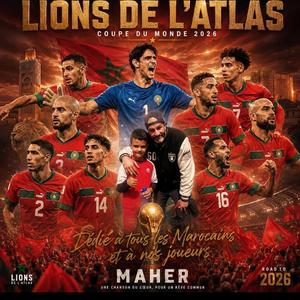 Lions de l'atlas