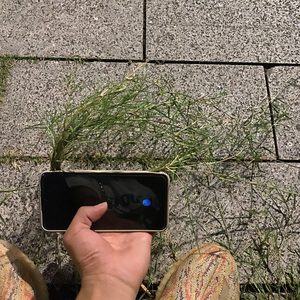 爸爸去哪儿(慢摇版)