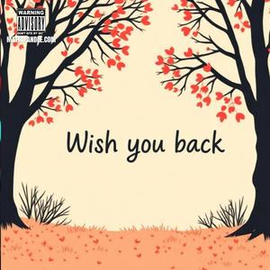 Wish you back
