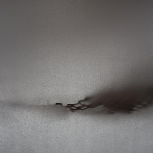 Elegy (feat. Simeon Walker)