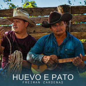 Huevo E Pato