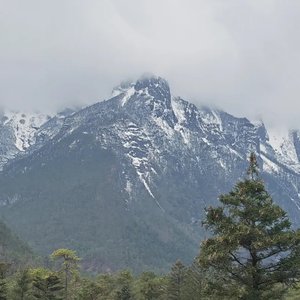 高山青松绿茵茵dj小平