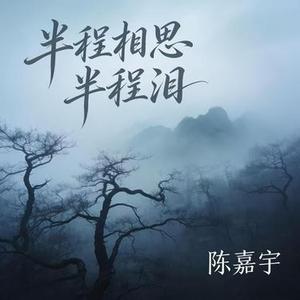 半程相思半程泪