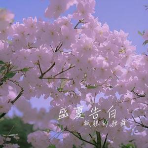 盛夏告白