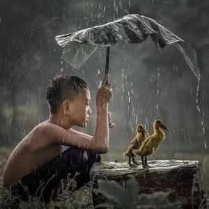 生活不是苦涩的