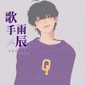 雨辰 lion - 夜车