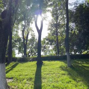 《萌芽的呢喃与大地的心跳》