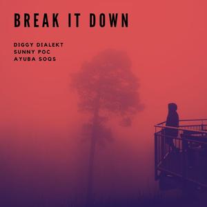 Break It Down (feat. Sunny POC & Ayuba SOQS)