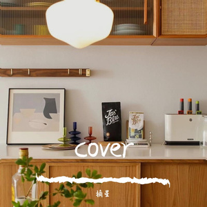 因为了解（cover汪苏泷）