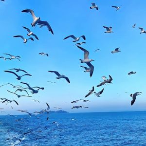 温柔藏匿于心__MUM的纯音乐 (17)